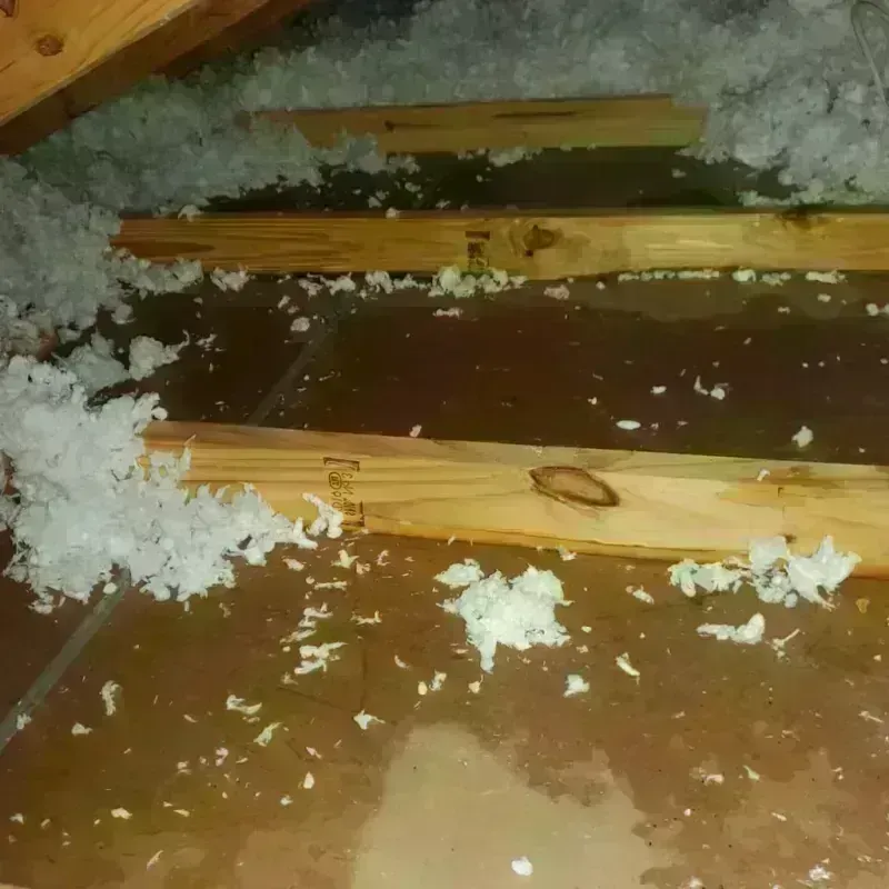 Attic Water Damage in Hamblen County, TN